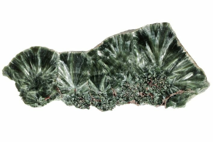 Polished Seraphinite Slab - Siberia #183541